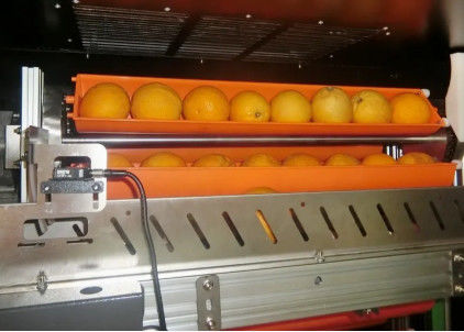 Zwarte marktfruit Juice Vending Machine 800W voor Sinaasappelen Apple