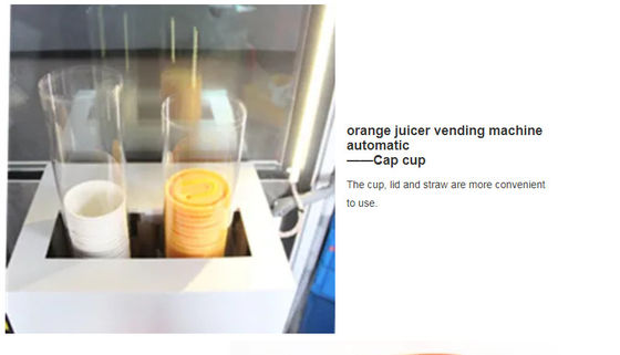 Vers Oranje Gediplomeerd de Automaat Automatisch 1500W Ce van Juicer
