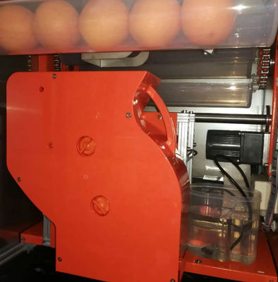 De automatische Verse wd-SINAASAPPEL van Verkoop Oranje Juice Machine 800W